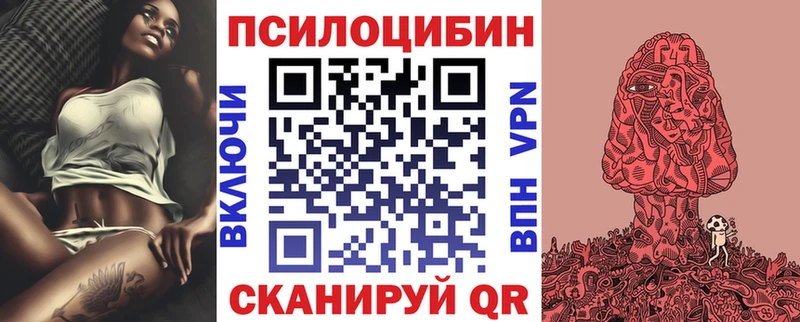Галлюциногенные грибы Psilocybine cubensis  Тогучин 